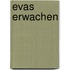 Evas Erwachen