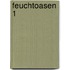 Feuchtoasen 1