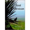 First Mexican door Vio Celaya
