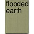 Flooded Earth