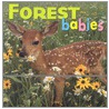 Forest Babies door Northword Books for Young Readers