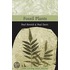 Fossil Plants