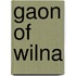 Gaon of Wilna