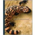 Gila Monsters