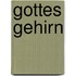 Gottes Gehirn