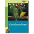 Gouldamadinen