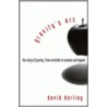 Gravity's Arc by David Darling