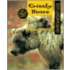 Grizzly Bears