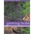 Growing Herbs