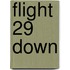 Flight 29 Down