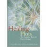 Healing Plots door Ruthellen Josselson