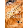 Hello Mexico! by Lorrain Giddings