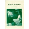 Italo Calvino door Martin L. McLaughlin
