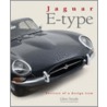 Jaguar E-Type door Glen Smale