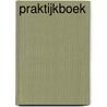 Praktijkboek by Lenette Schuijt
