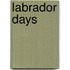 Labrador Days