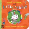 Little Rabbit door Katie Saunders