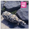 Flessepost