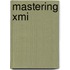 Mastering Xmi
