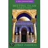 Meeting Islam by George Dardess