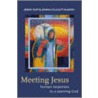 Meeting Jesus by Joanna McGrath