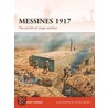 Messines 1917 door Alexander Turner