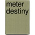 Meter Destiny