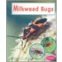 Milkweed Bugs