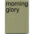 Morning Glory