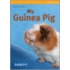 My Guinea Pig
