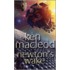 Newton's Wake