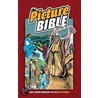 Picture Bible by Iva Hoth