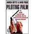 Piloting Palm