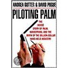 Piloting Palm door David Pogue