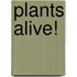 Plants Alive!