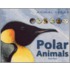 Polar Animals