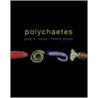 Polychaetes C door Greg W. Rouse