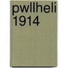 Pwllheli 1914 by Alan Godfrey