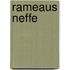 Rameaus Neffe