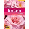 Rosen pflegen door Silke Kluth