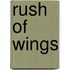 Rush Of Wings