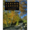 Sabino Canyon by David Wentworth Lazaroff