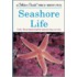 Seashore Life