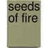 Seeds Of Fire