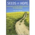 Seeds of Hope
