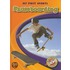 Skateboarding