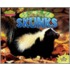 Smelly Skunks