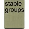 Stable Groups by Bruno Poizat
