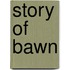 Story of Bawn