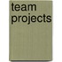Team Projects